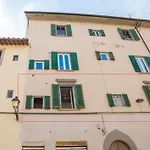 Agnolo